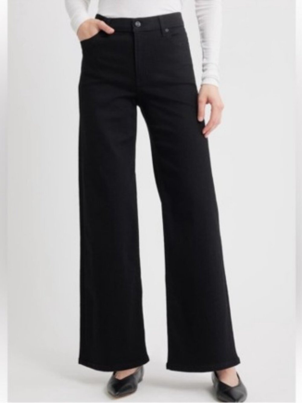 Frame Le Slim Palazzo Jeans Black Wide Leg High Rise 28
